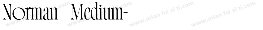 Norman   Medium字体转换